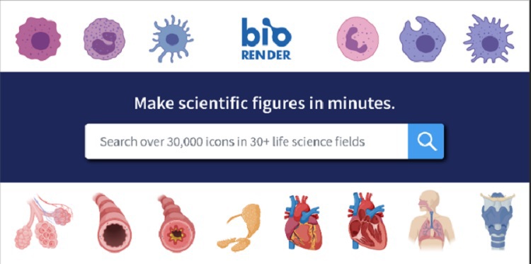  دسترسی یک ماهه به نرم افزار Biorender در سایت کتابخانه مرکزی