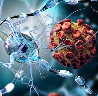 تأثیر بیماری کووید-۱۹ بر سیستم عصبی